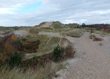 Denmark - Foto #16