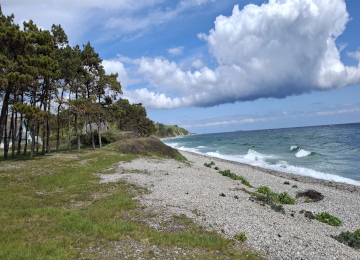 Denmark - Foto #17
