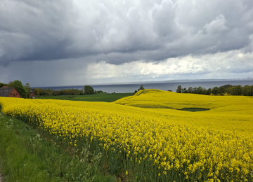 Denmark - Foto #20