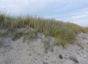 Denmark - Foto #21