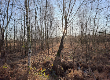 Germany - Foto #2