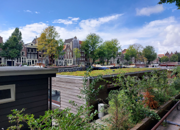 Netherlands - Foto #3